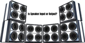 Is Speaker Input or Output