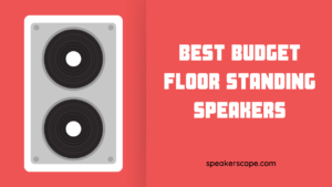 Best Budget Floor Standing Speakers