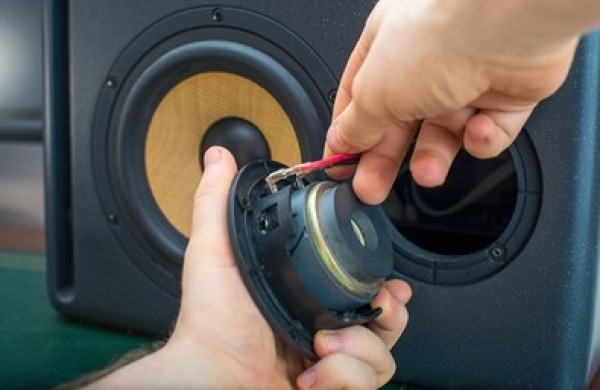 physical damage to your speaker