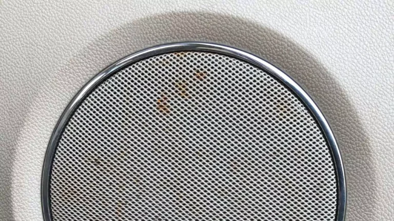 How To Remove Rust From Speaker Grill